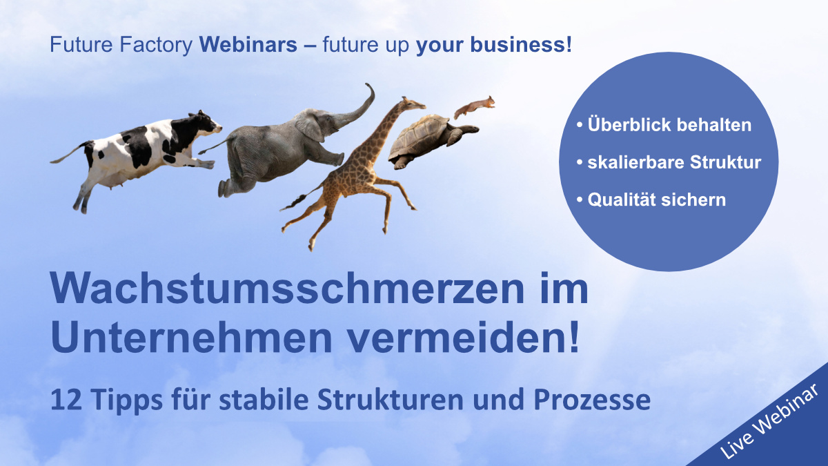 Webinar-Banner "Wachstumsschmerzen im Unternehmen vermeiden"